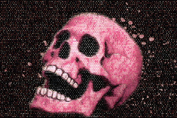 Skull Texture Image 6