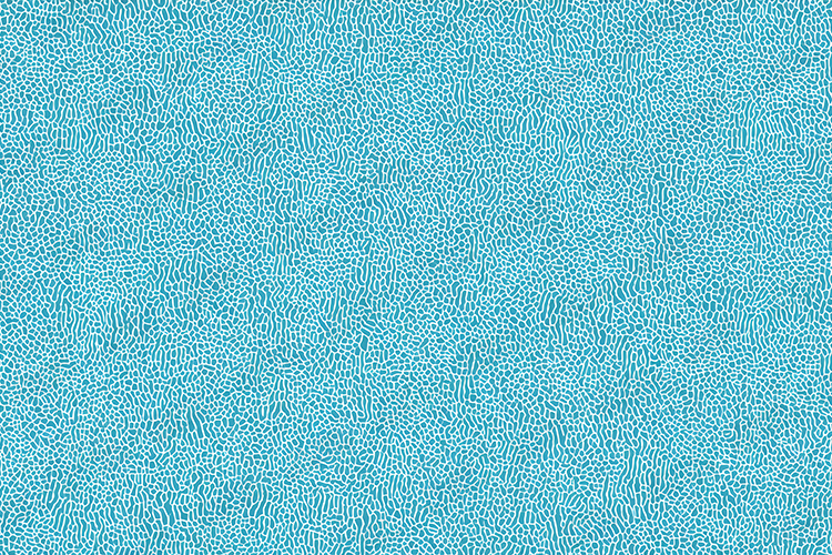 Pattern Background Image 23