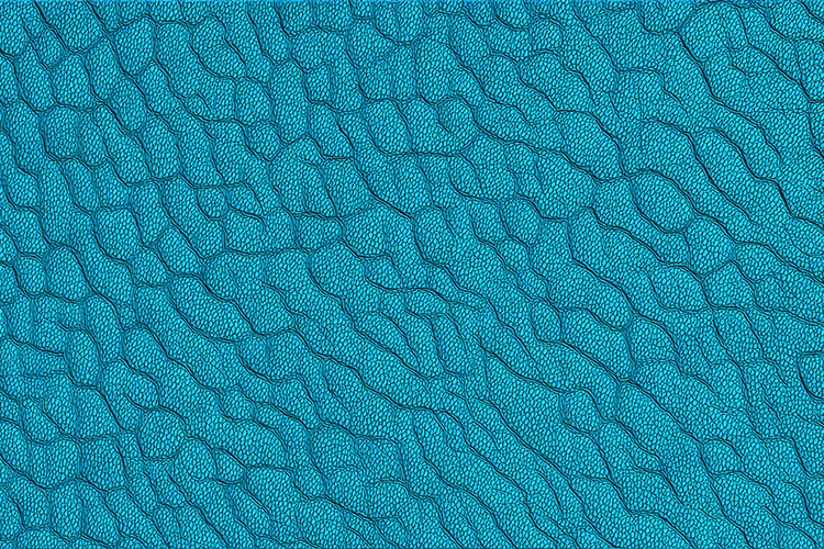 Pattern Background Image 22