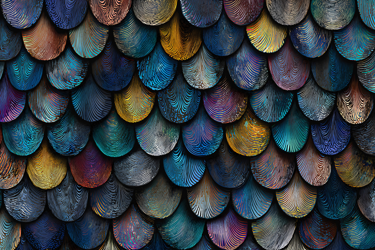 Dragon Background Image 6