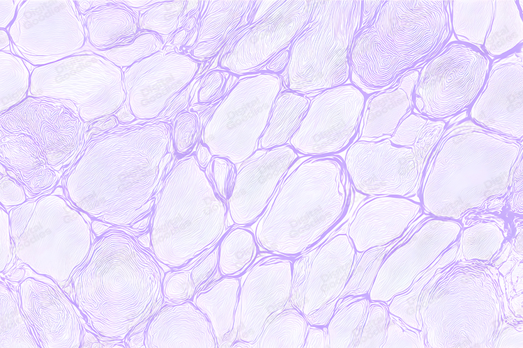 Light Texture Image 11