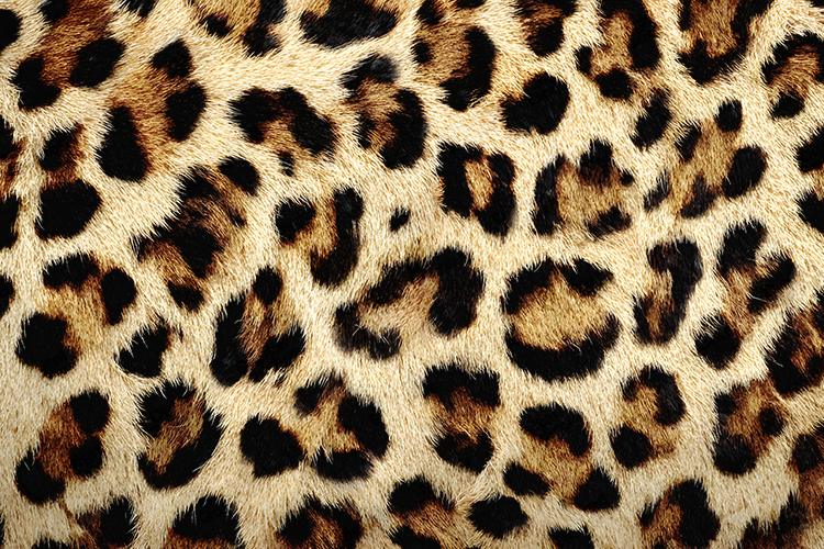 Purple Glitter Background Image 10