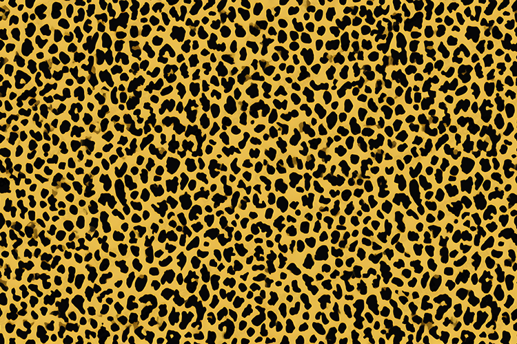 Peach Background Image 23