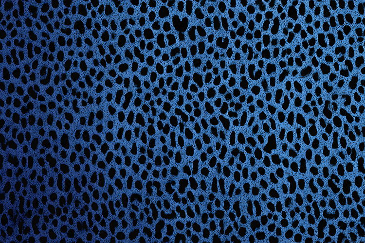 Stained Glass Texture Image 18