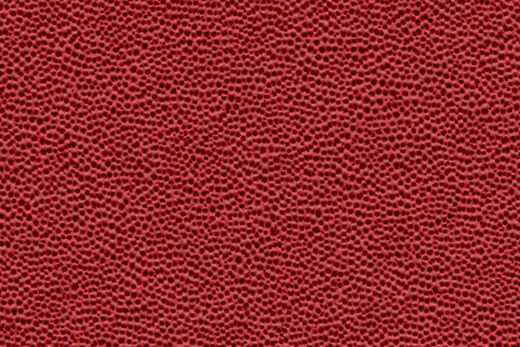 Leather Texture