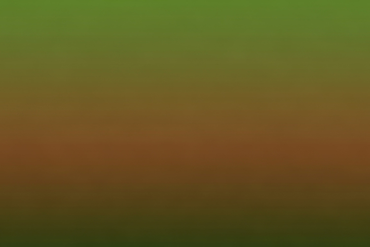 Gradient background transitioning from green to brown