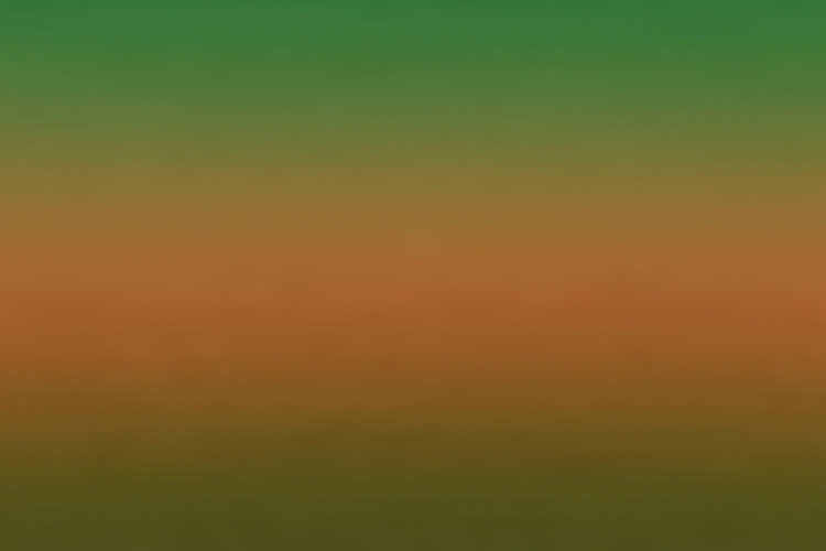 Gradient background with shades of green and orange hues