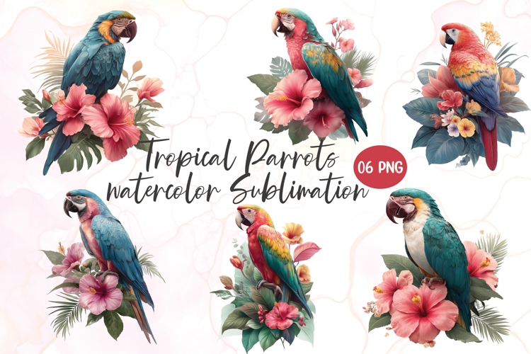 Parrot Png Image 19