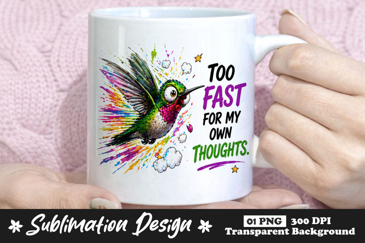 Hummingbird Illustration Image 20
