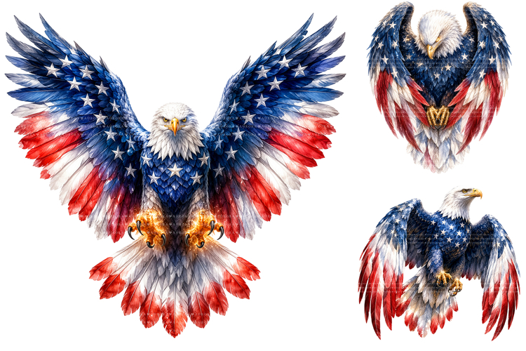 Usa PNG Image 6
