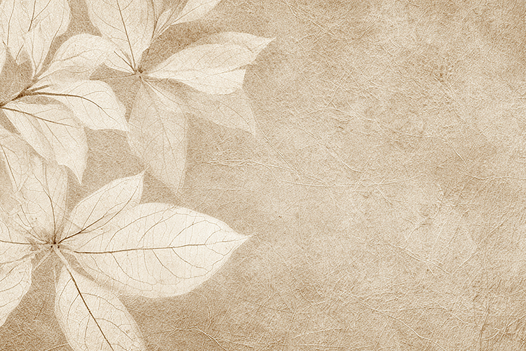 Floral Background Image 20