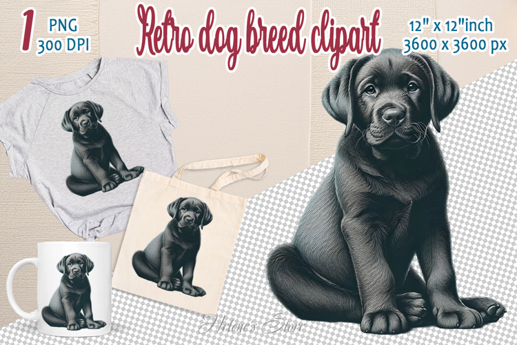 Labrador Clipart Image 21