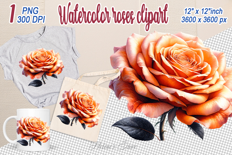Aesthetic Flower Png Image 24