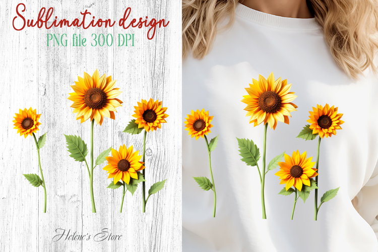 Sunflowers Png Image 5