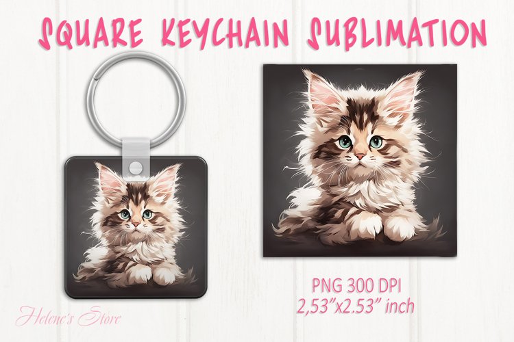 Kitten Png Image 5