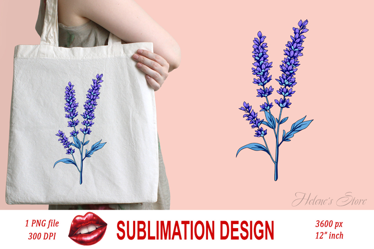 Flower Illustrations Image 6