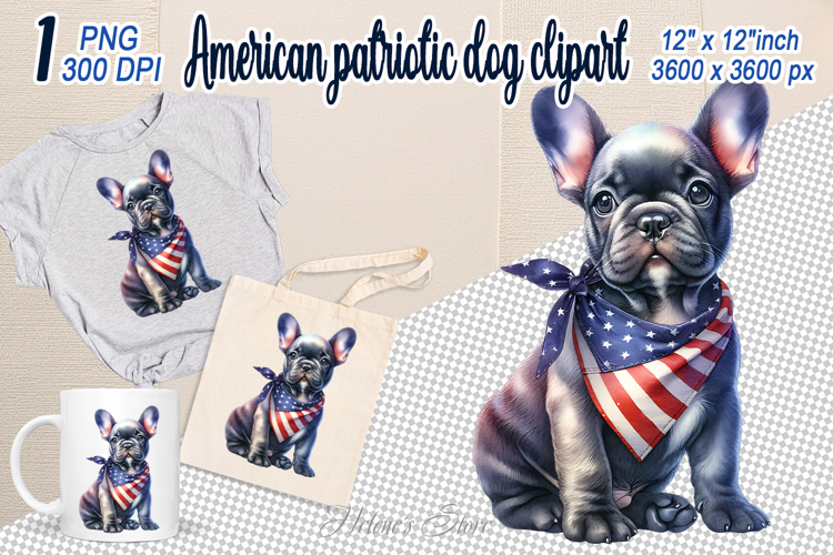 French Flag Clipart Image 12