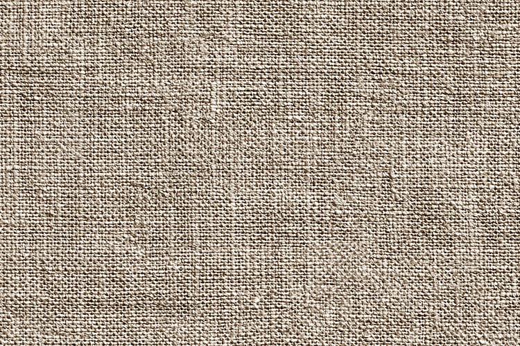 Beige Texture Image 11