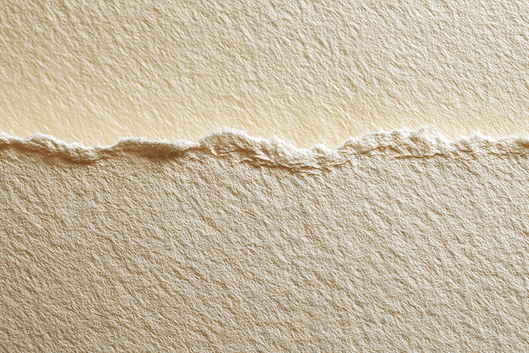 Textured Cream Handmade Paper with a Rough Torn Edge