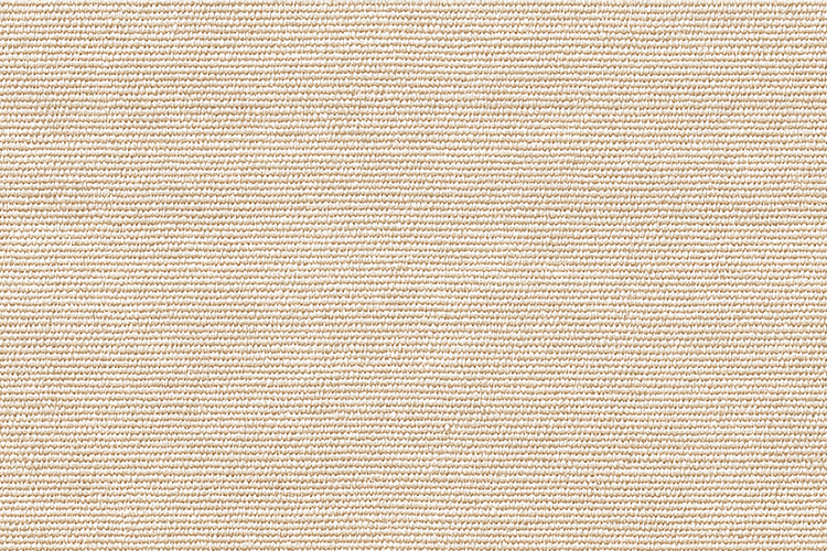 Fine Off-White Canvas Texture for Art and Design