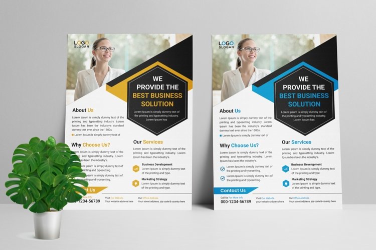 Business Flyer Template Image 10