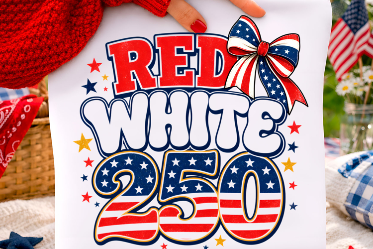 Usa Flag Png Image 18