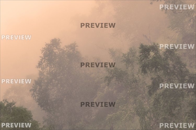 Nature Photo. High resolution wallpaper example image 1