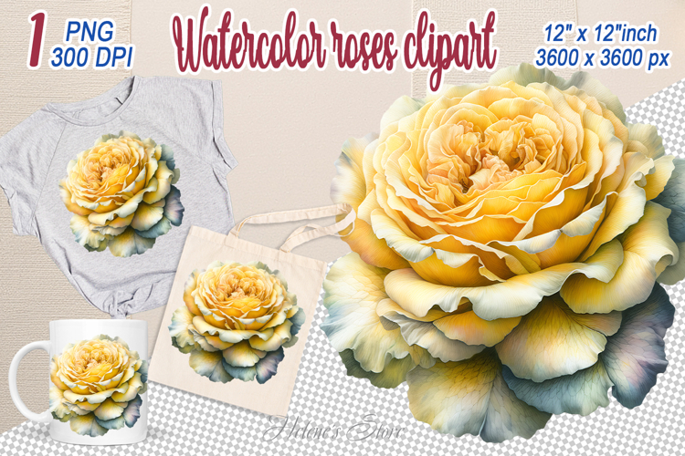 Aesthetic Flower Png Image 12