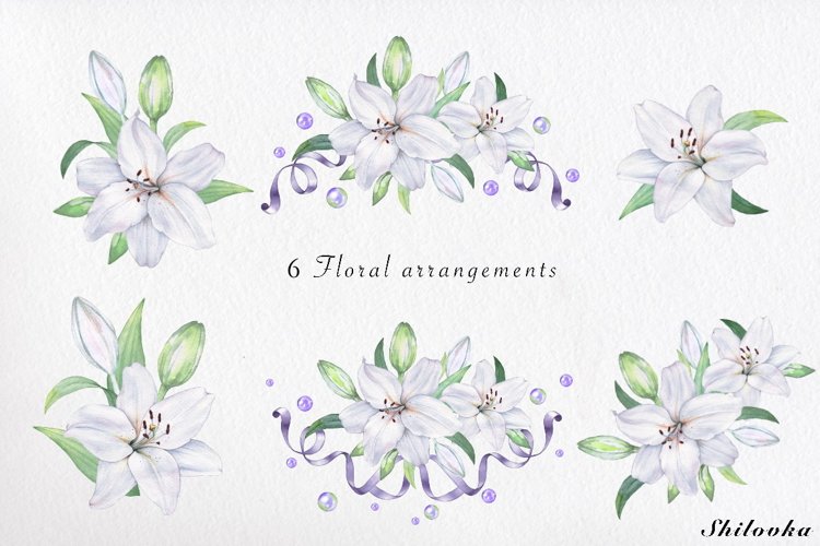 White lily set. Watercolor clipart example image 1