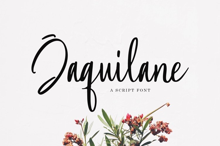 Web Font Jaquilane