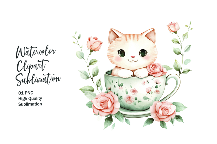 Kitten Png Image 2