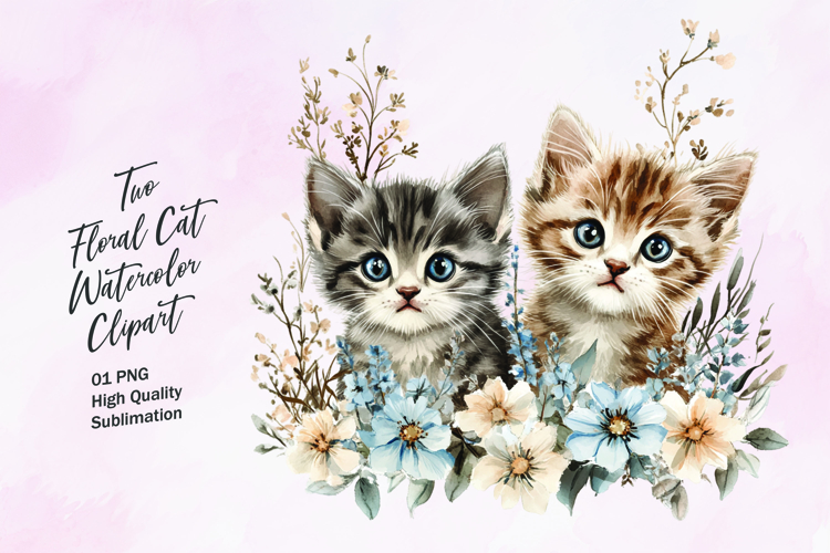 Cute Cat Png