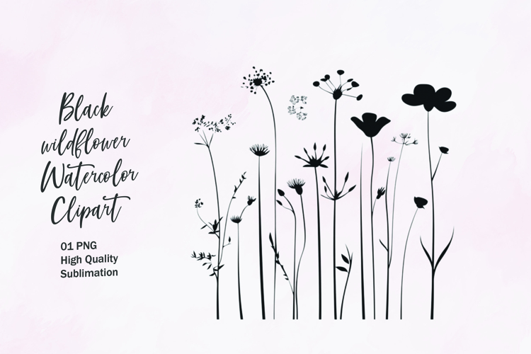 Flower Outline Png Image 24