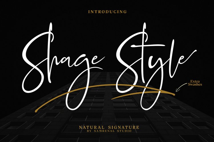 Shage Style Extra Swashes Font example image 1