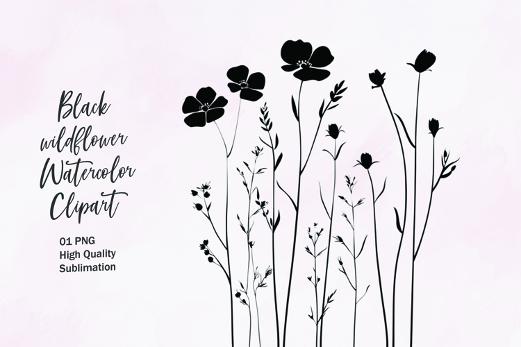 Flower Outline Png