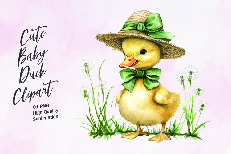 Duckling Png Image 8