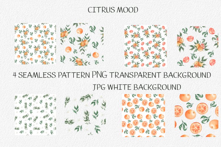 Citrus Clipart Image 19