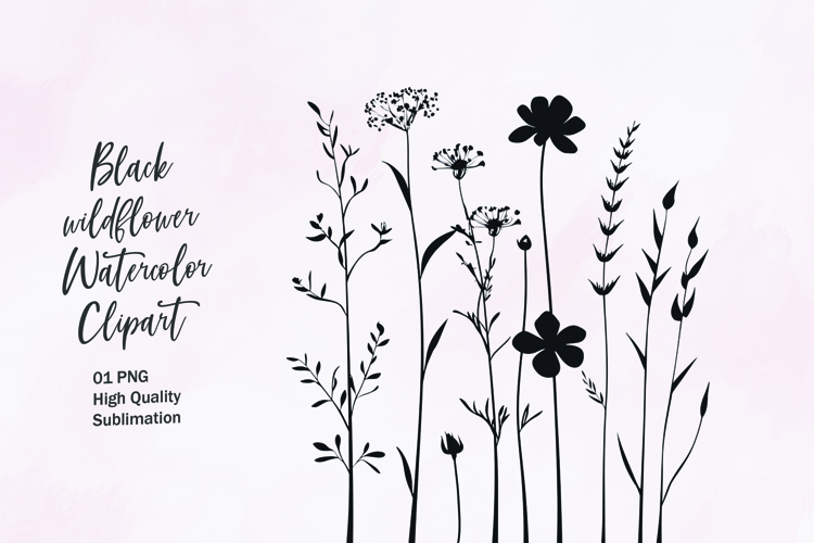 Flower Outline Png Image 23