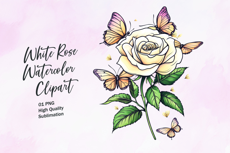 White rose with butterfly watercolor clipart sublimation