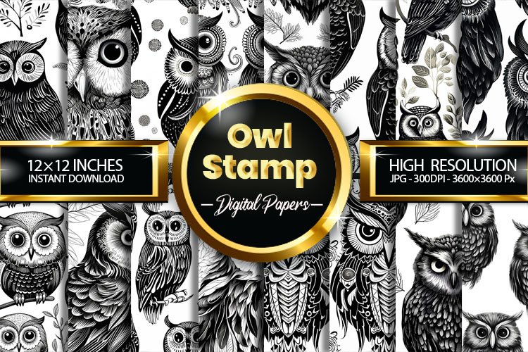 Owl Clipart Image 8