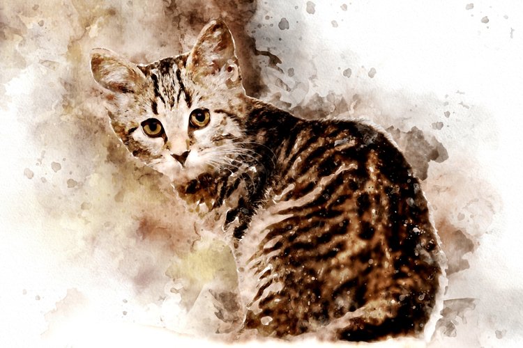 Printable CUTE CAT PORTRAITS 7 different formats Pack 06