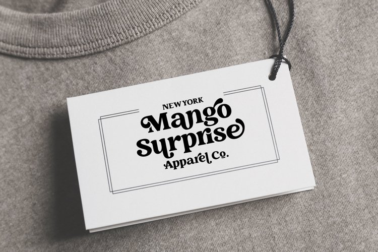 Creative Vintage Serif & Script fonts