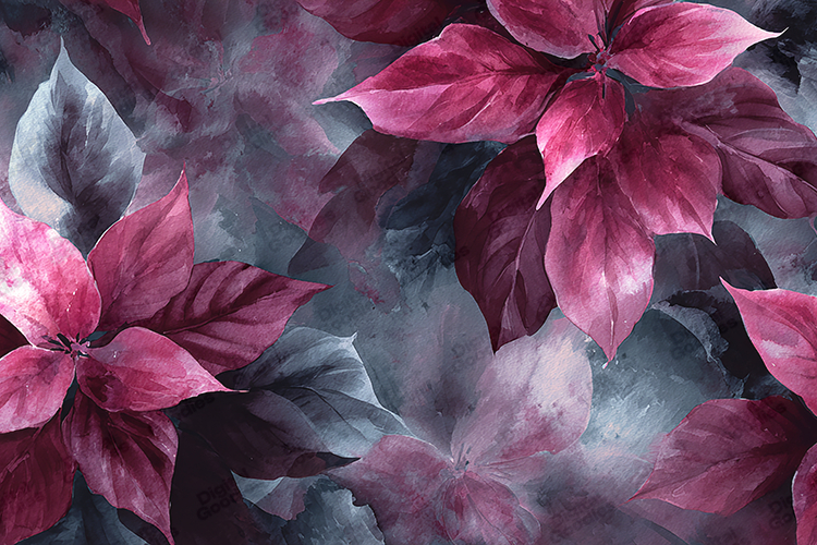 Watercolor Pink Poinsettia Foliage Dark Grunge Background