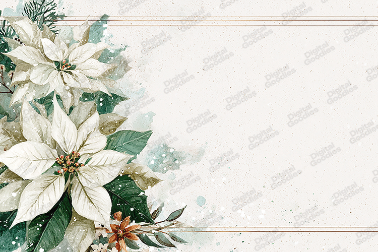 Watercolor White Poinsettia Christmas Frame Background