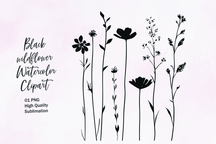 Flower Outline Png Image 22