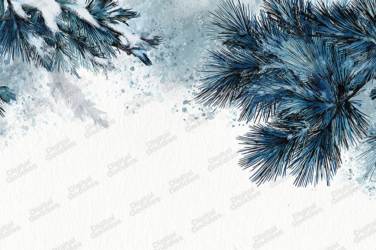 Frosty Blue Pine Watercolor - Snowy Winter Botanical Art