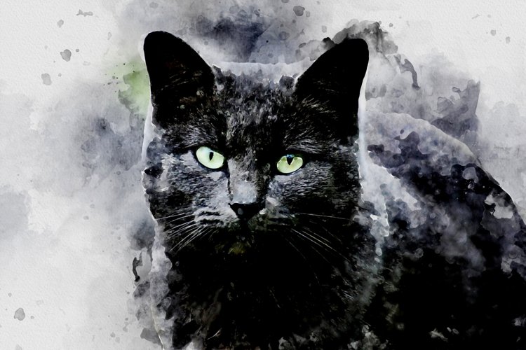 Printable CUTE CAT PORTRAITS 7 different formats Pack 07