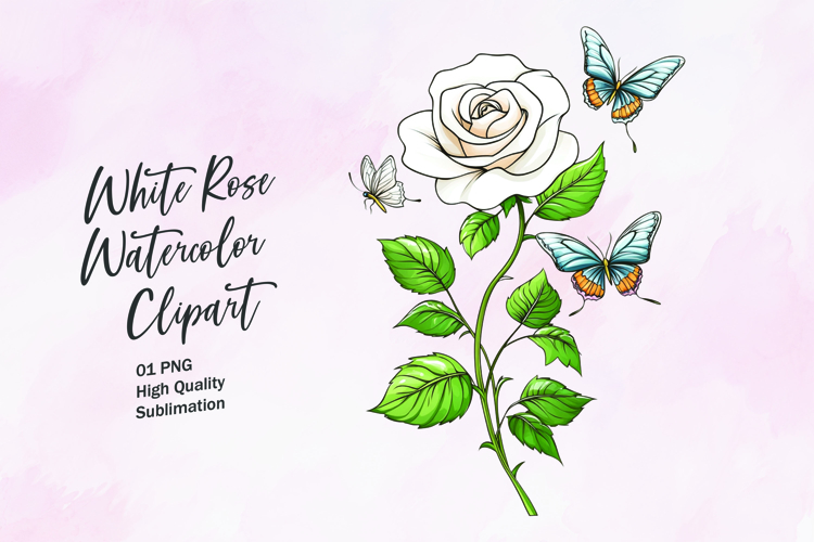 Rose Graphic