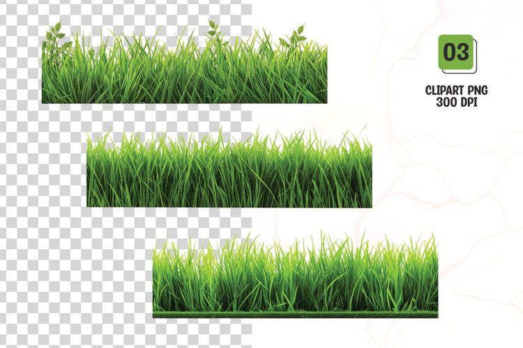 Green Grass Clipart Image 14