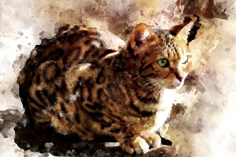 Printable CUTE CAT PORTRAITS 7 different formats Pack 08